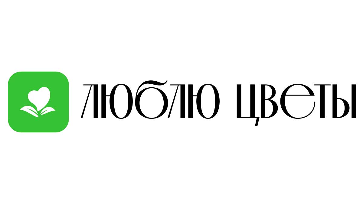 Доставка цветов - Ломоносов | Купить цветы и букеты - Недорого -  Круглосуточно | Заказ на дом от интернет-магазина «Люблю цветы»